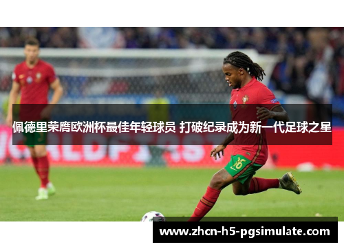 佩德里荣膺欧洲杯最佳年轻球员 打破纪录成为新一代足球之星